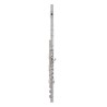 PEARL QUANTZ BREZZA B665RBE-HC CABEZA PLATA Y PATA DE SI Flauta Travesera
