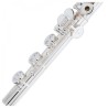 PEARL QUANTZ BREZZA B665RBE-HC CABEZA PLATA Y PATA DE SI Flauta Travesera