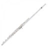 PEARL QUANTZ BREZZA B665RBE-HC CABEZA PLATA Y PATA DE SI Flauta Travesera