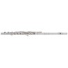 PEARL QUANTZ BREZZA B505RE-HC DESALINEADA PATA DE DO
