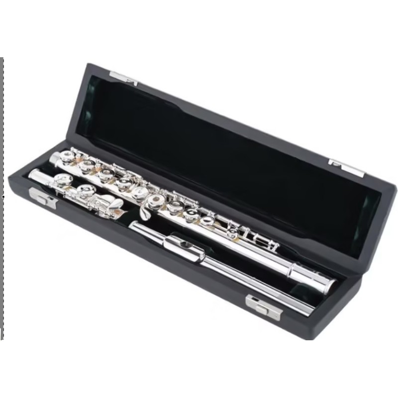 VPEB505RE-HC PEARL QUANTZ BREZZA B505RE-HC DESALINEADA PATA DE DO