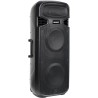 Lexsen PSI215A-BT Altavoz