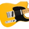 Fender Player II Modified Telecaster Mn-Ssy