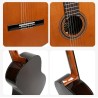 Sulayr Lattice con Tapa de Cedro Guitarra Clásica