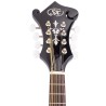 SX SMF660EVS Violin Sunburst Mandolina