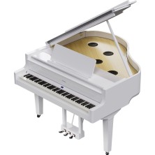 Roland GP-9M PW
