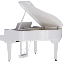 GP-9M-PW Roland GP-9M PW