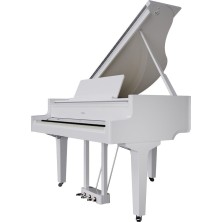 GP-9M-PW Roland GP-9M PW
