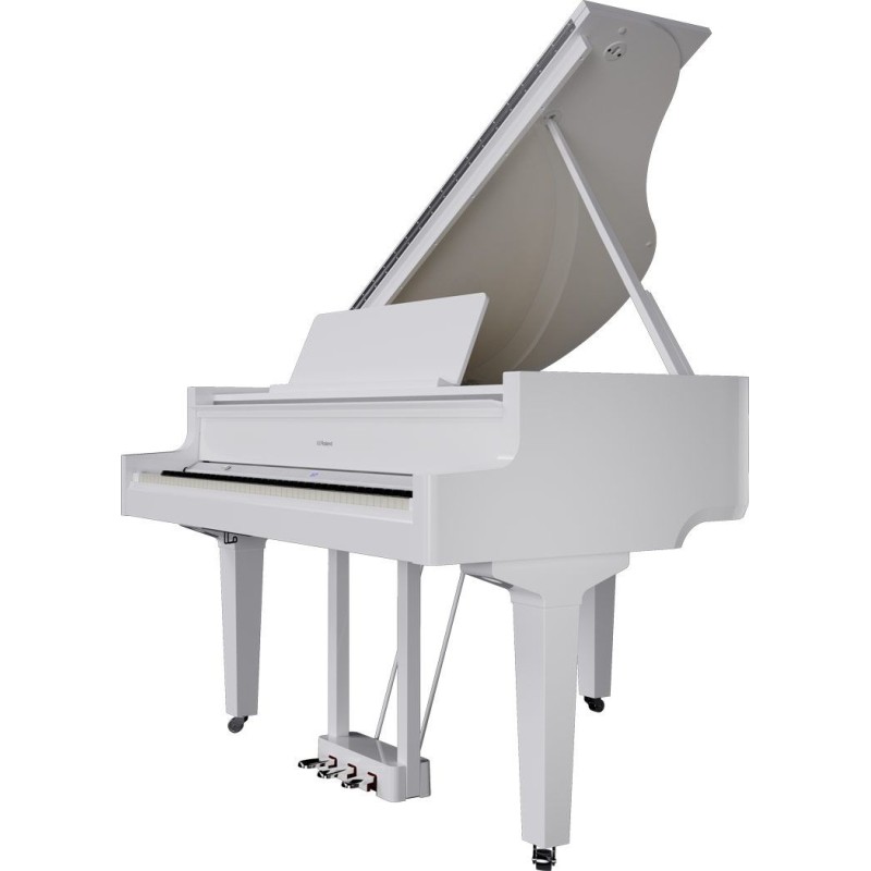 GP-9M-PW Roland GP-9M PW