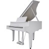 Roland GP-9M PW