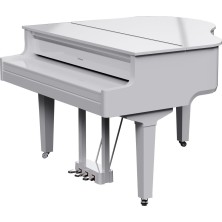 GP-9M-PW Roland GP-9M PW