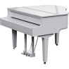 Roland GP-9M PW