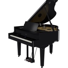 Roland GP-9M PE
