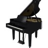 Roland GP-9M PE