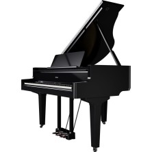 GP-9M-PE Roland GP-9M PE