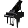 Roland GP-9M PE