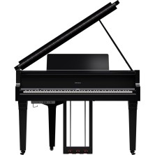 GP-9M-PE Roland GP-9M PE