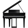 Roland GP-9M PE