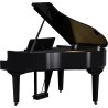Roland GP-9M PE