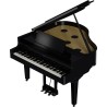 Roland GP-9M PE