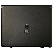 P245-RD112-S80E-U Randall RD112-S80E-U Pantalla de guitarra