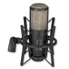AKG P220 Perception
