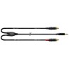 Cordial CFY6WCC Y Minijack Estéreo 2 RCA 6M Cable