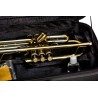 Bressant TR-530 Trompeta
