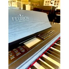 OLYAEVO#10 Feurich Olya Evo Black Piano digital Negro