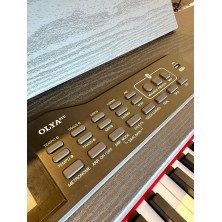 OLYAEVO#10 Feurich Olya Evo Black Piano digital Negro
