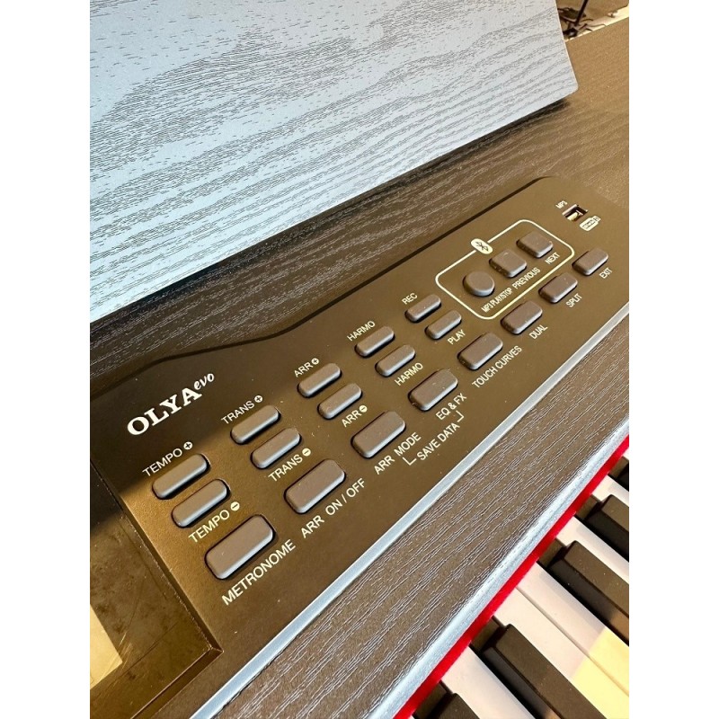 OLYAEVO#10 Feurich Olya Evo Black Piano digital Negro