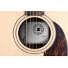 Alhambra 00-SSP E9 Electrificación Fishman Flex M Blend