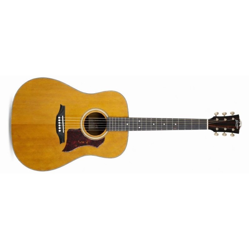 BAN1V Bromo BAN1V Denali Series Dreadnought Guitarra Acústica