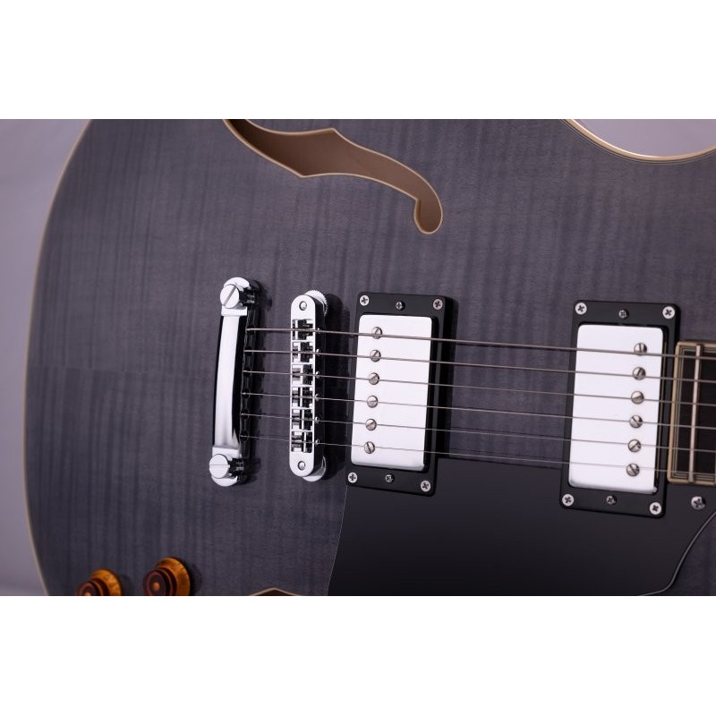 SH35TB-U Washburn SH35TB-U Wing Series Trans Black Guitarra Eléctrica