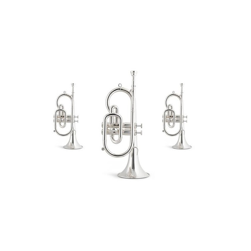 C6060 Honorato Colada Corneta en DO 2 pistones Plateada