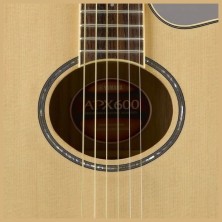 GAPX600 Yamaha APX600 Nat