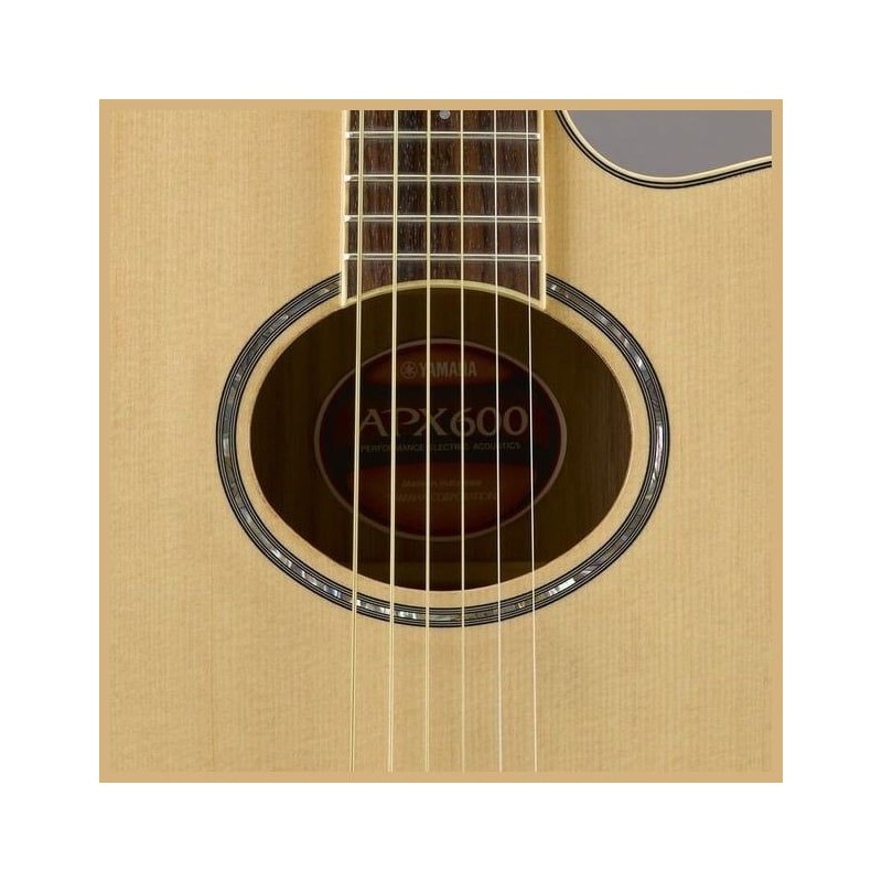GAPX600 Yamaha APX600 Nat