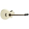 Yamaha APX600 Vw