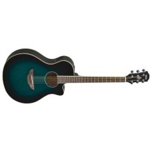 Yamaha APX600 Obb