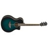 Yamaha APX600 Obb