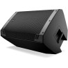 Mackie THRASH 215 V2 Altavoz Autoamplificado 15''