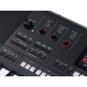 Medeli AKX10s Teclado de 61 teclas