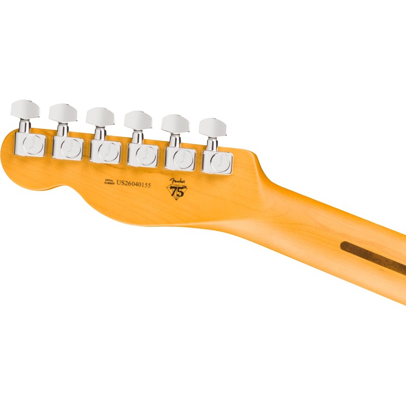 FEND-0111140761 Fender American Professional Telecaster Dark Night Guitarra Eléctrica