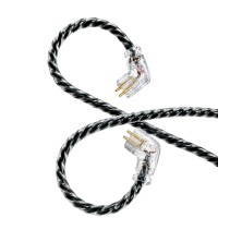 IER1 Double IER1 Auricular In Ear