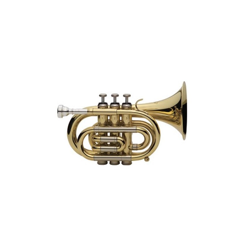 Trompeta SIb J Michael Tr-350