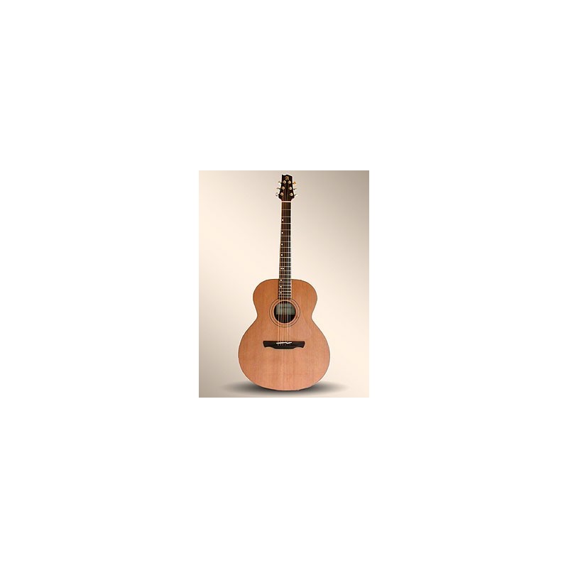 Guitarra Acústica Alhambra J-1