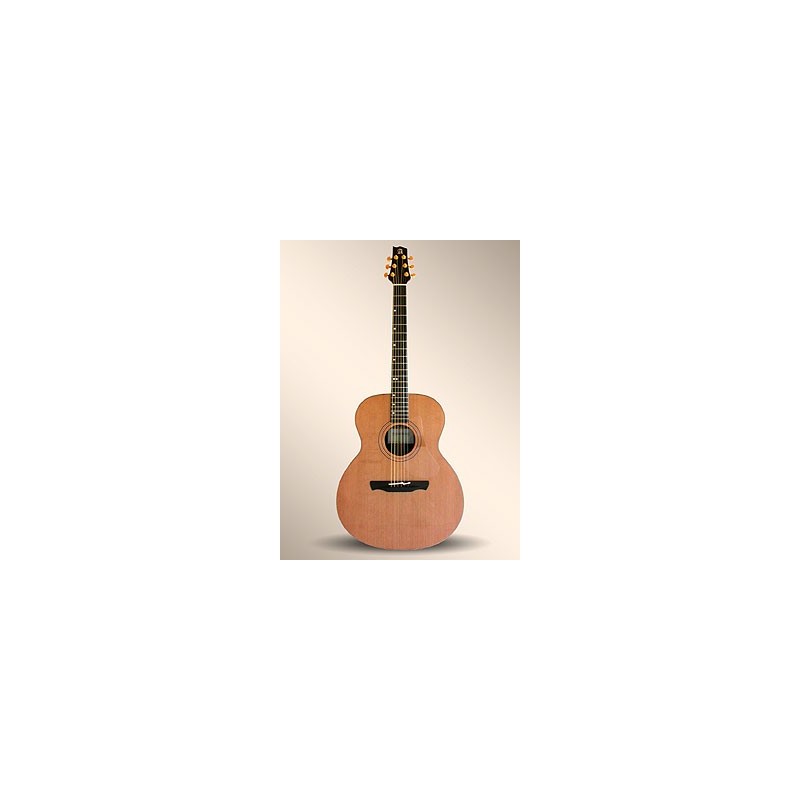 Guitarra Acústica Alhambra J-3