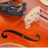 Rode Violin Clip