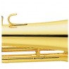 Yamaha Yfh-8310-Zs