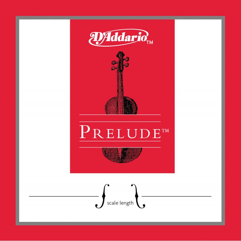 Cuerda Cello 2ª DAddario J1012 Prelude 2ª 4/4 Medium